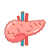 Preseve Pancreas Function